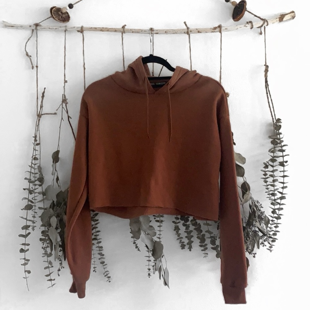 Burnt Orange Cropped Hoodie